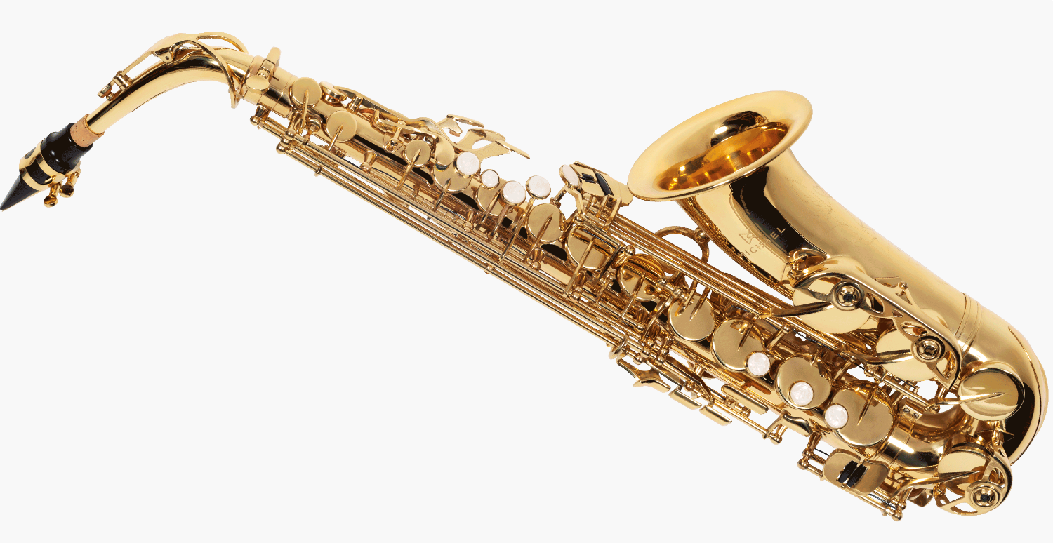 Saxofone Michael WASM30N - Image 3