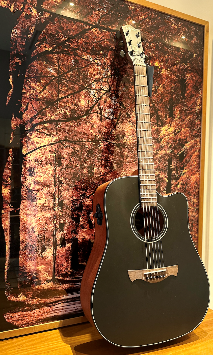 Violão Tagima Metrópolis EQ - Image 2